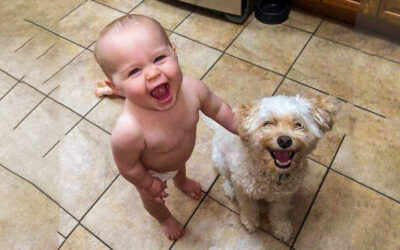 RETO FOTOGRAFÍA CON MOVIL AFOCASTRO